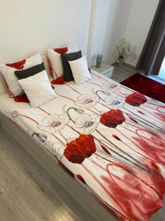 M&M Apartments - Floreşti - 3