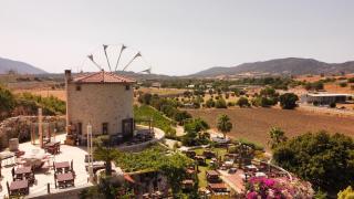 Datça Vineyard Guesthouse - Datça - 7