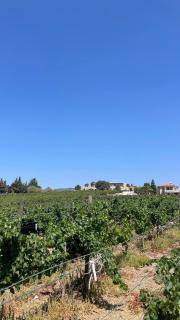 Datça Vineyard Guesthouse - Over 14 years old only - 3