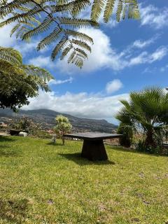 Guest House Santinhos - Estreito da Calheta - 5