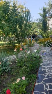 A house by the lake - 6