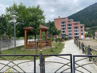 Svani - Borjomi - 0