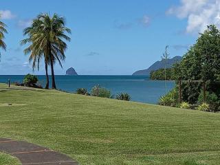 Studio Le Jacana dans une résidence de vacances avec piscine - 6