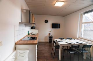 Preiswerte Apartments für Monteure, WLAN, Smart-TV & kostenfreie Parkplätze - Neupetershain - 0
