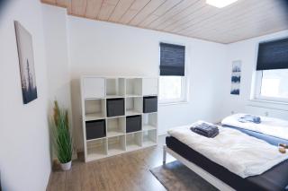 Preiswerte Apartments für Monteure, WLAN, Smart-TV & kostenfreie Parkplätze - Neupetershain - 6