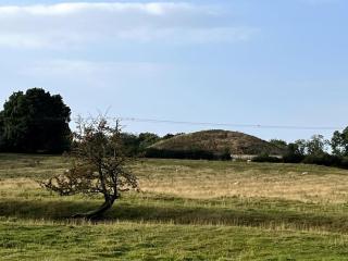 Fern Cottage - Brinklow - 3