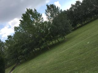 Nice flat overlooking the park - Milan - 5