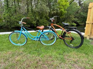 Key Lime Cottage - waterfront - Crystal River - 9