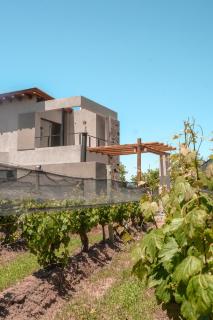 Agrelo Vines Lodge - Agrelo - 7