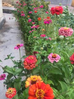 Barcha guest house - Leh - 1