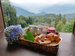 Villa Chalet Bellagio Panorama - 9