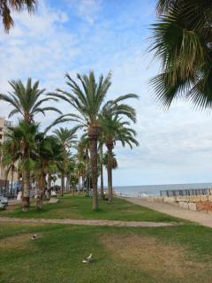 Marina dort Acapulco II primera línea de playa - Oropesa del Mar - 6