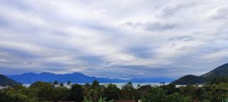 Paraíso das Flores - 2