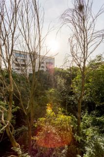 Calme dans la verdure Paris 16e - Paris - 7