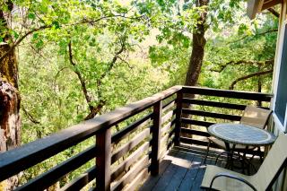 Yosemite Bug Rustic Mountain Resort - Midpines - 4