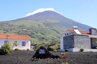 Vista Montanha - Madalena - 4