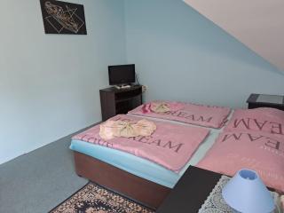 Hotel Kamenný vrch - Chomutov - 6