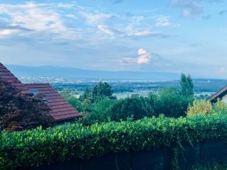 Coquette maisonnette - Vue Jet d'eau - Lac Léman - Bossey - 1