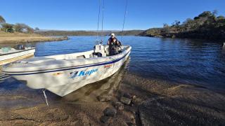 Kapo TEAM , colibri - 3