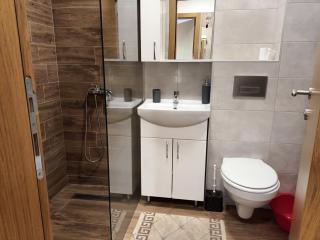 Trajkovic One Bedroom Apartment - Soko Banja - 7