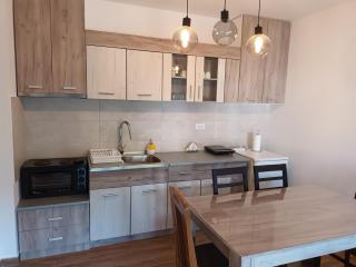 Trajkovic One Bedroom Apartment - Soko Banja - 6