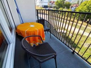 Trajkovic One Bedroom Apartment - Soko Banja - 5