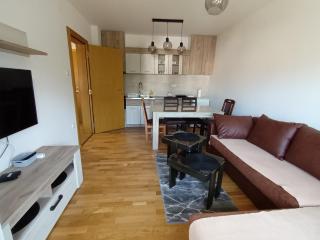 Trajkovic One Bedroom Apartment - Soko Banja - 1