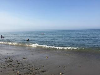 More Than A Beach Apartment - 2