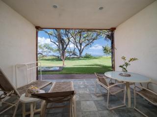 Aloha Aku CoCoPalm2 Suite - Your Cozy Beachfront Escape - Kihei - 3