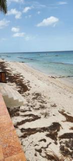Condominios Orca - Progreso - 8