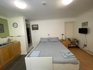 Cosy central London apartment 008 - Londres - 7