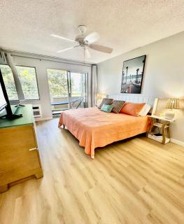 OCEANVIEW Condo in Kapa'a FULLY remodeled 1bd and 1ba - 9