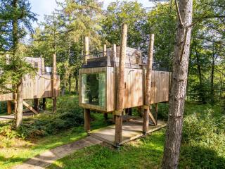 Luxury Treehouse Retreat - 0