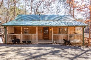 1 Mile to Dollywood 7 miles to Gburg HotTub Rustic - Pigeon Forge - 0