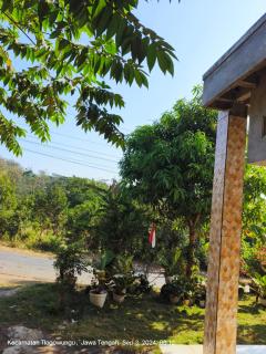 Villa East Muria - 3