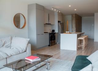 Penthouse with pool and parking - Montréal - 8