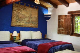 Quinta del bosque - 6