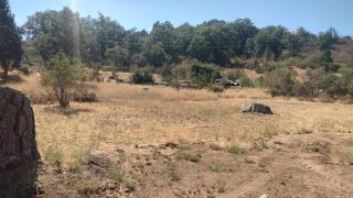 Obrien's RV Pad - Pinehurst - 7
