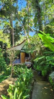 Sacred River & Jungle Villa - Ubud - 0
