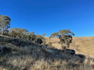 Luxury country guesthouse on large cattle station - Murrurundi - 4