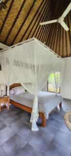 Villa Blessings 1 Cosy Haven - Ubud - 4