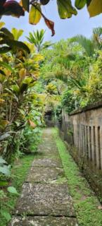 Villa Blessings 2 Haven of Peace - Ubud - 8