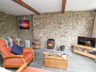 Fisherman's Cottage - Llandysul - 7