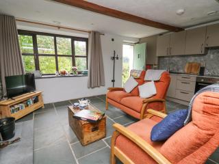 Fisherman's Cottage - Llandysul - 5