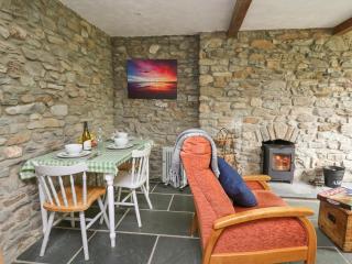 Fisherman's Cottage - Llandysul - 4