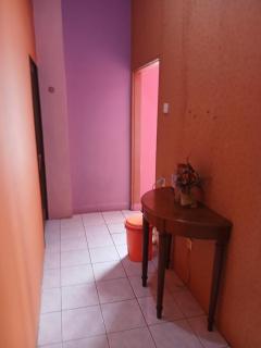 K77 Backpackers - Jungle Tours - Medan - 4