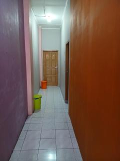 K77 Backpackers - Jungle Tours - Medan - 1
