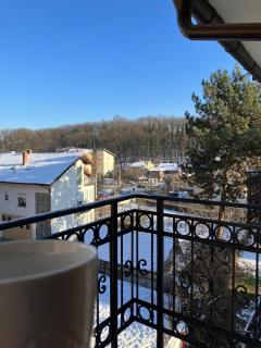 Don Balkan. Apartman Oliva - Vrnjačka Banja - 4