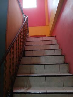 K77 Backpackers - Jungle Tours - Medan - 5