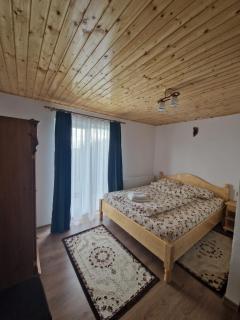 Cabana Alpina Jina - Jina - 1
